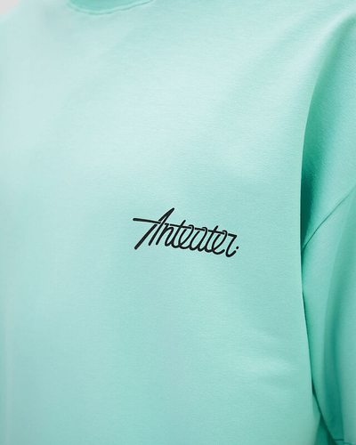 Футболка Anteater Phat Tee 499 Ментоловая