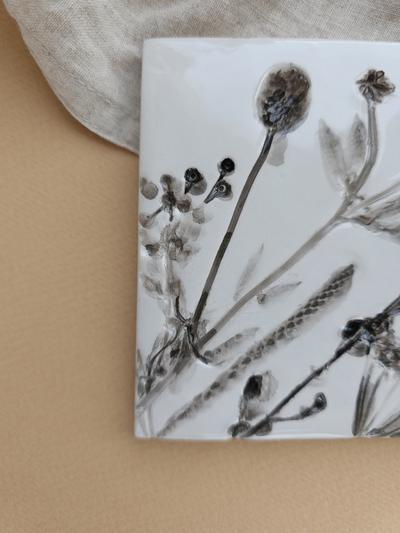 Ястребиночка // 10*10