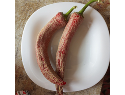 Перец острый Элефант (Elephant pepper)