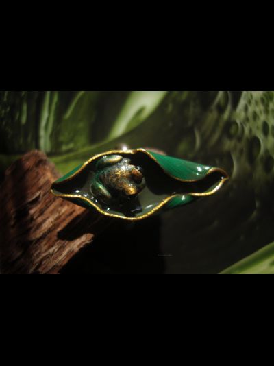 "После дождя", необычное кольцо с тропической лягушкой