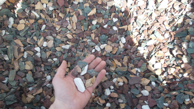 Ассорти, микс