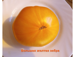 Томат Большая желтая зебра (Big Yellow Zebra)
