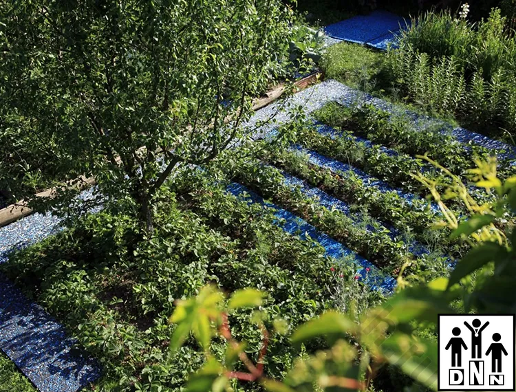 Дорожки для грядок между грядка