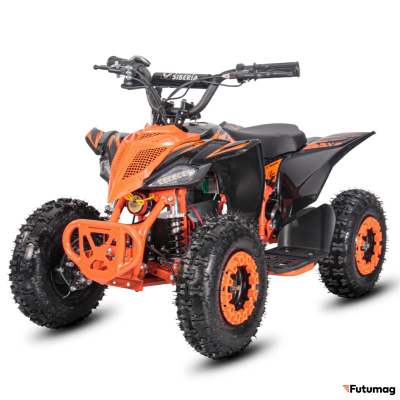 Электроквадроцикл WHITE SIBERIA SNEG LETO R 1000W Оранжевый