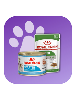 Royal Canin