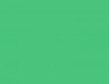 Фоамиран Корея 50*50 см, толщина 1 мм , цвет  10 - зеленый