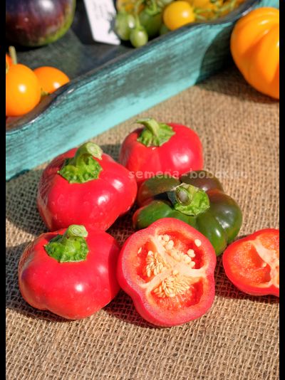 Перец сладкий Гогошар Советский, 10 шт