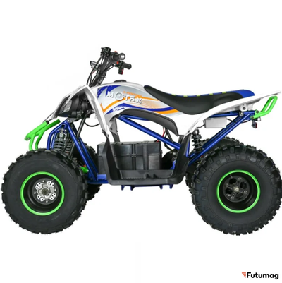 Электроквадроцикл MOTAX E-Pentora 1500W