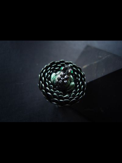 Кольцо с лягушкой &quot;Aster Severian&quot; (из коллекции готических украшений &quot;Рейвенсвуд&quot;)