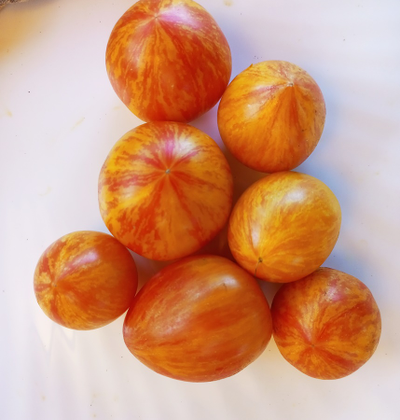 Томат Кровоточащее сердце (Bleeding Heart)