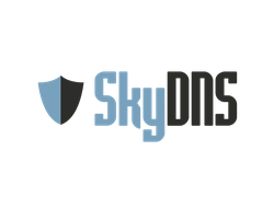 SkyDNS