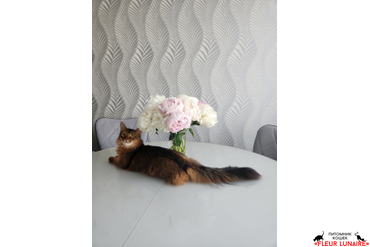 Выпускница Фокс.4