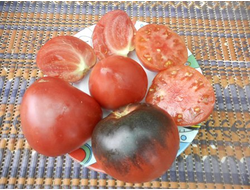 Томат Сержант Пеппер (Sgt Peppers ), США