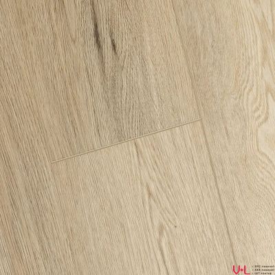 SPC ламинат FirstFloor Простой Серый Дуб 1F034 43 класс толщина 4.0 мм с фаской замковый 2.665 м2