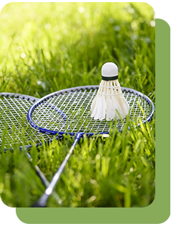 Спортивный газон