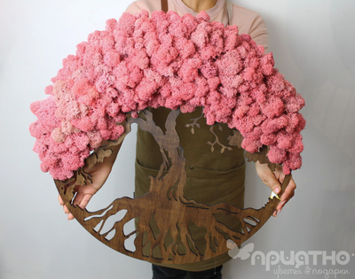 ЖИВАЯ ЭКО-КАРТИНА 1020