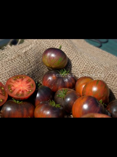 Томат Dwarf Rebel Starfighter Dipper&#039;s Delight (Гном Восставший Звездный Истребитель Восторг Диппера), 10 шт