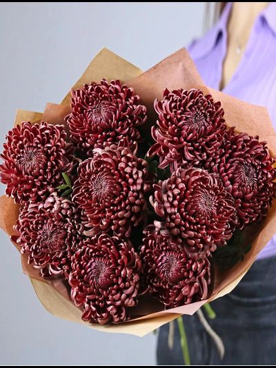 Букет из 9 лунных шарообразных хризантем