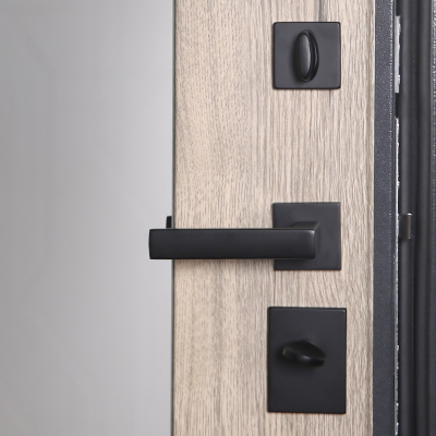 Стальная дверь    Беркут с зеркалом