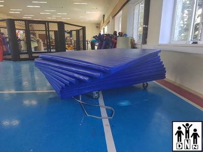 Мат гимнастический 1х2 тент, НПЭ 100-120кг/м3 толщина 5см 1ШТ. DNN