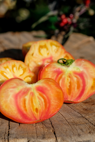 Томат Грибное Лукошко Полосатое, 10 шт