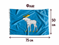 Флаг Йошкар-Ола