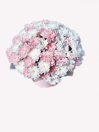 Персиковый бриз