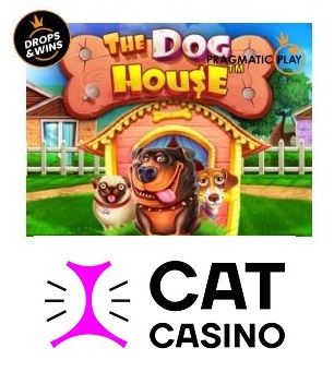 Вход на сайт cat casino