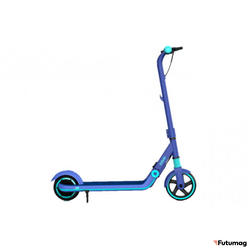 Электросамокат Ninebot eKickScooter Zing E8