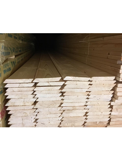 Планкен хвойный сорт АВ