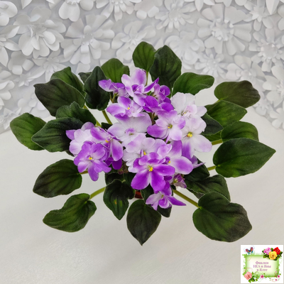 LV-Кирюша (Л. Шевелева) 2022 г. трейлер (пасынок посажен 15.08.25)