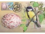 КМ. Беларусь. Яйца птиц. Большая синица