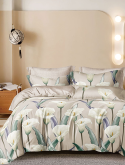 Постельное белье TANGO Twill сатин евро 200x220x1 230x250x1 50x70x2 70x70x2 TPIG6-1947