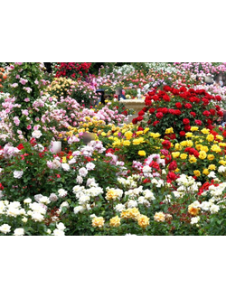 Уценка 2 сорт