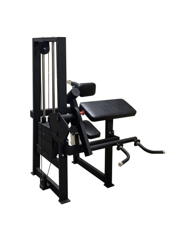 Бицепс-трицепс машина 2 в 1 60 кг AV248/80