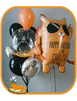 Рыжий кот, Баблс с надписью и 9 Шариков на грузиках