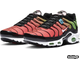 NIKE AIR MAX PLUS WORLDWIDE (40-45)