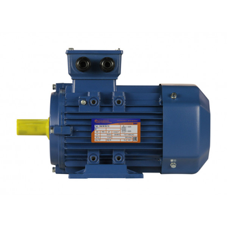 Электродвигатель 5АИ 80B8 (0,55 кВт) IM 1081