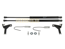 Амортизаторы капота, 2 шт. АвтоУпор для Ford Focus II / II рестайлинг 2005-2008 / 2008-2011