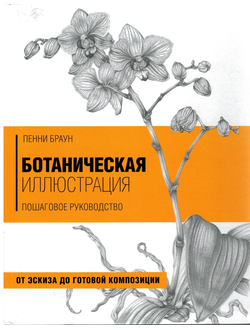 Tvorchestvo Botanicheskij Risunok Uroki Naturalista