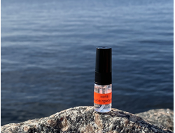 Духи НОТА: МУЖСКОЕ ПРИСУТСТВИЕ, 2.5 мл