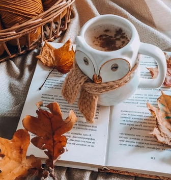 Осенние каникулы 2025 в ООО "Гидродинамика" -в нашей компании