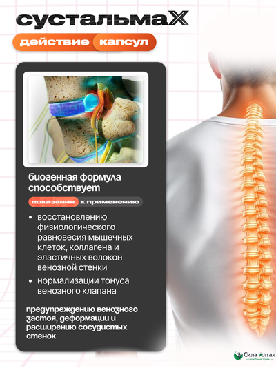 Сустальмакс: нейронные связи и здоровье вен