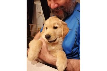 Уезжаем домой!