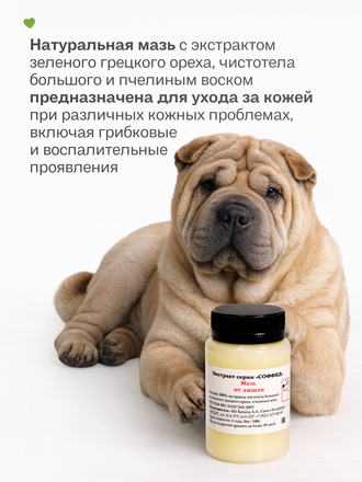МАЗЬ ОТ ЛИШАЯ ДЛЯ СОБАК, 100 ГР.