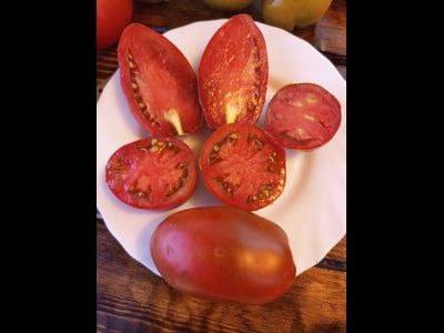 Томат Перцевидный шоколадный