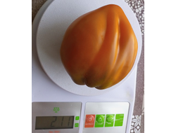 Томат Огненный гребень (охра) (Cresta di Fuoko)