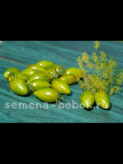 Томат Зеленый Тигр ( Green Tiger), 10 шт