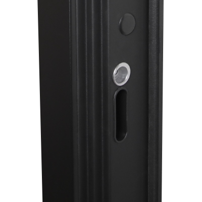 Стальная дверь   Сингапур с зеркалом. Заказная модель.