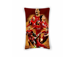 Подушка вертикальная Ливерпуль, Liverpool FC №13